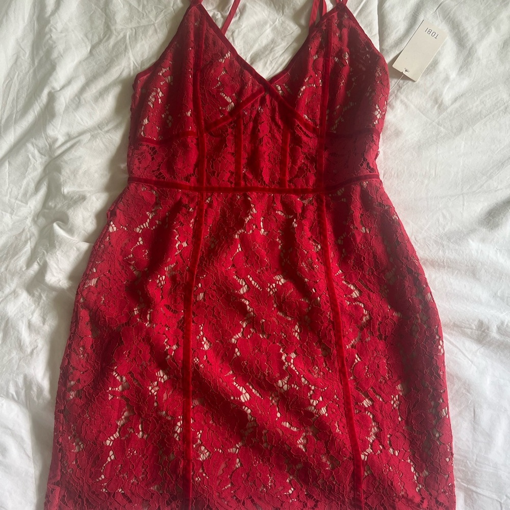 Tobi Scarlet Lace Dress
